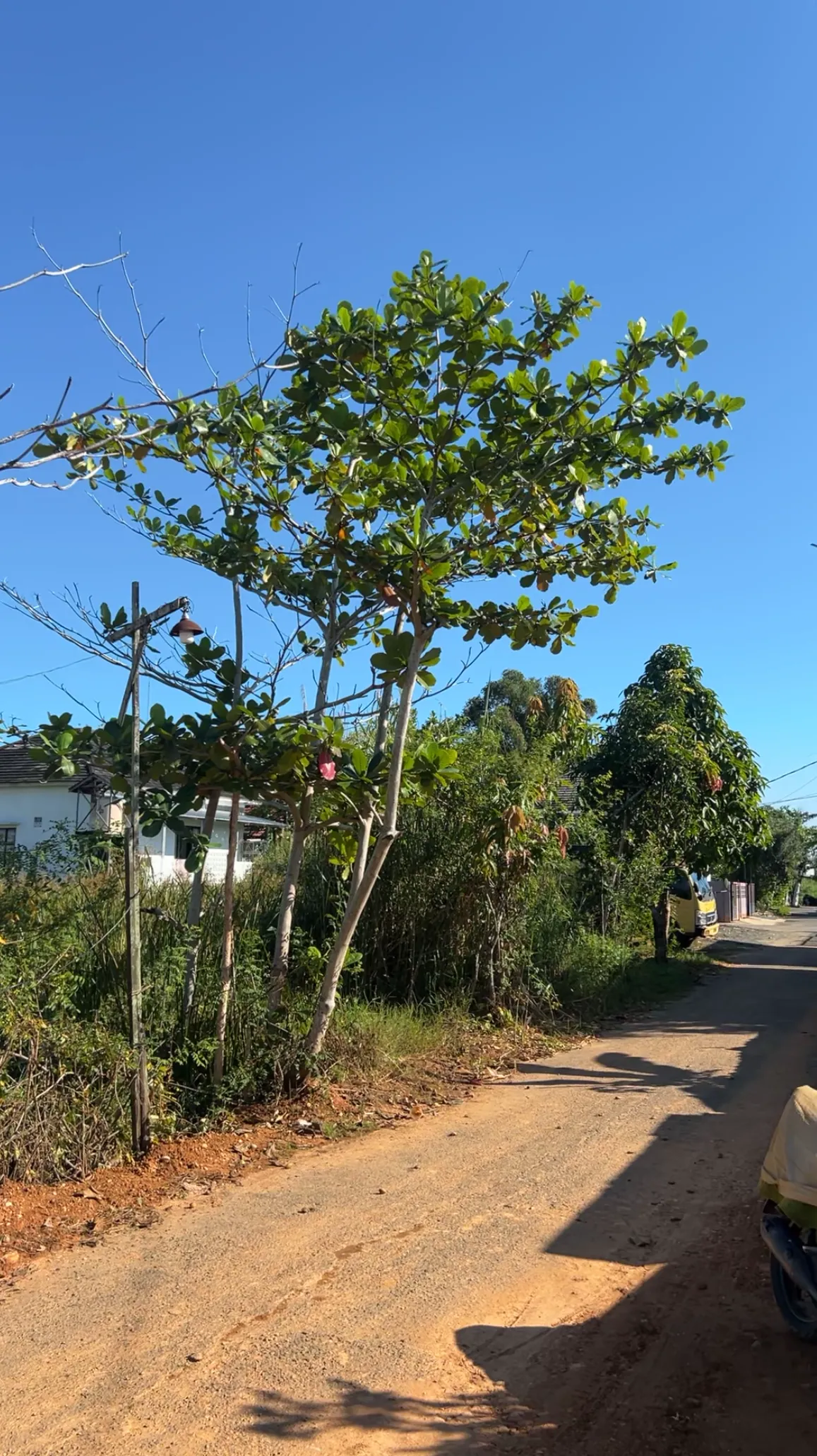195 m² SHM Land for Sale in Gatot Subroto, Banjarmasin 3