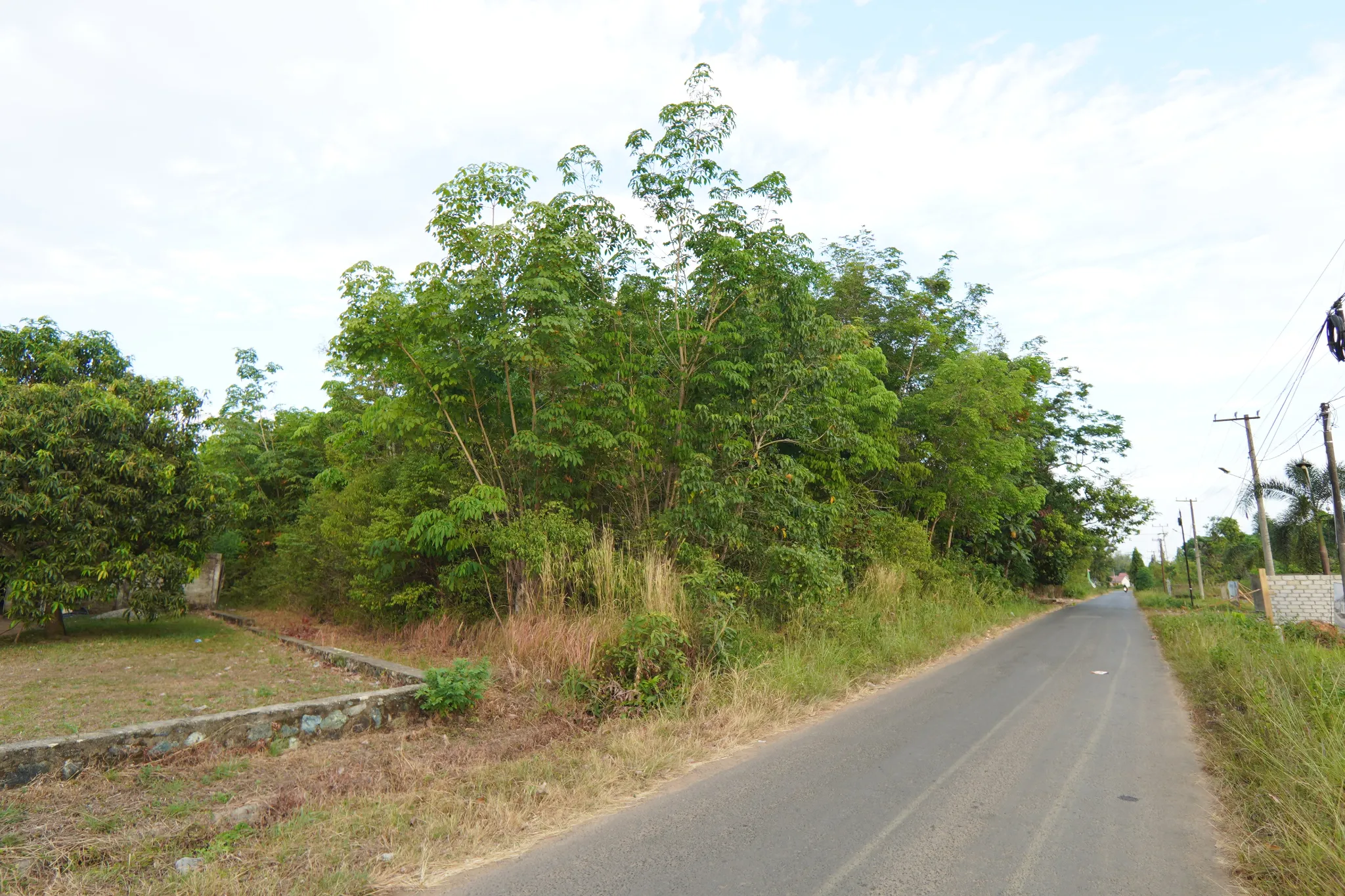 Tanah Pinggir Jalan Dijual di Beramban, Pelaihari