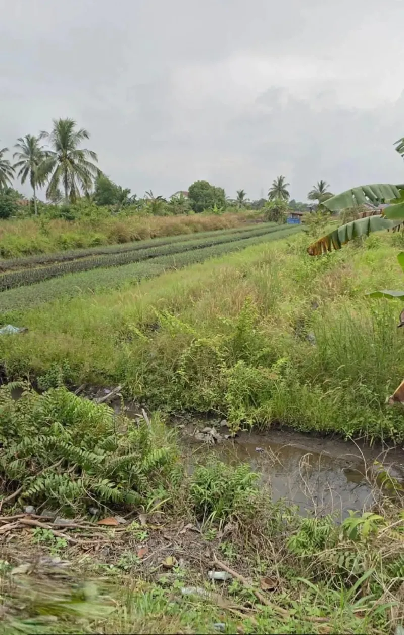 Land for Sale, 3,415 m² on Jl. Carakajaya, Banjarbaru 2