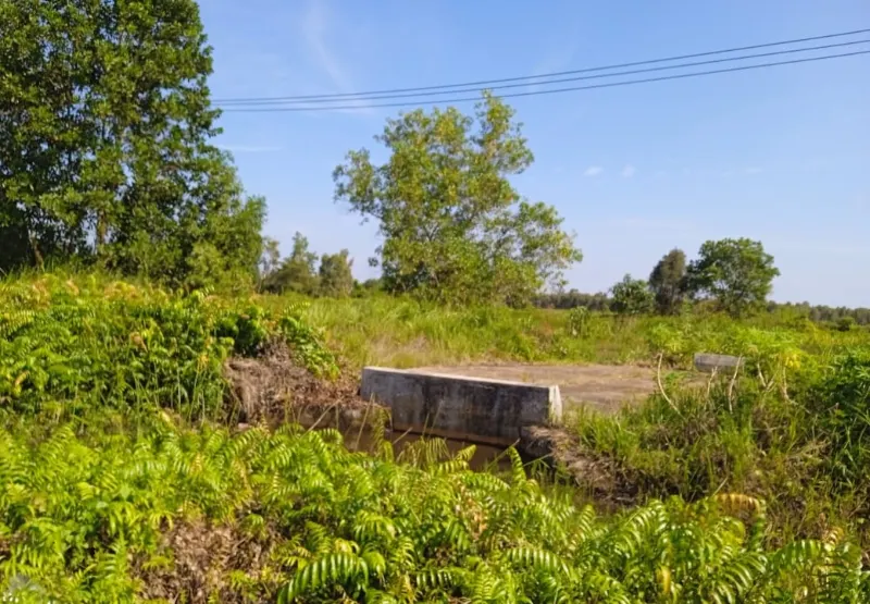 Tanah Dijual 8.817 m² Depan Kampus Muhammadiyah Banjarmasin 3