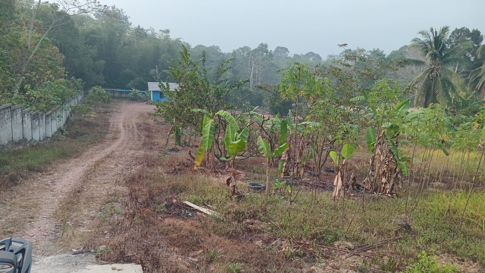 Land Area 7 Ha for Sale in Balikpapan Utara, East Kalimantan