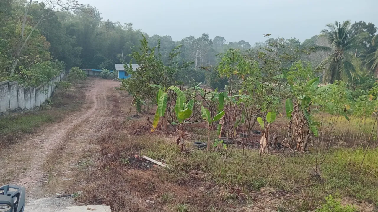 Land Area 7 Ha for Sale in Balikpapan Utara, East Kalimantan
