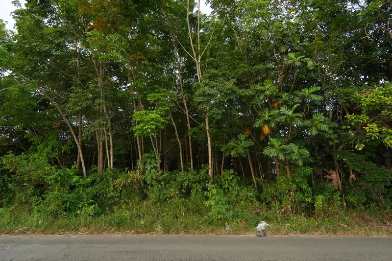 Tanah Pinggir Jalan Dijual di Beramban, Pelaihari 2