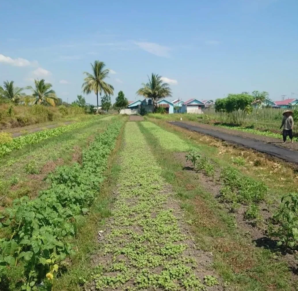 班贾巴鲁 Carakajaya 路 3,415 平方米土地出售