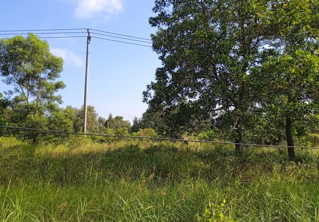 Tanah Dijual 8.817 m² Depan Kampus Muhammadiyah Banjarmasin 2