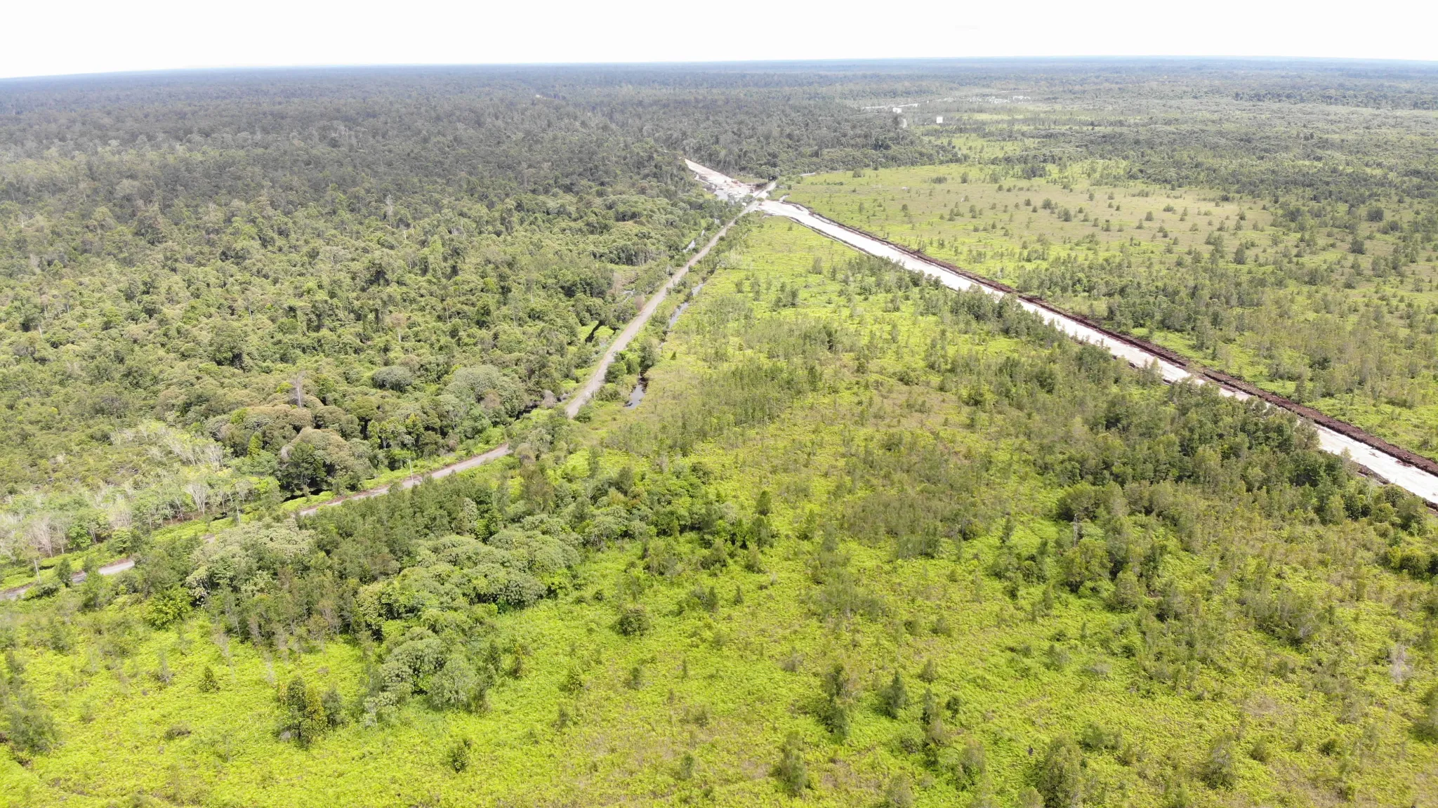 Tanah Gambut Luas 11,75 Hektare Dijual di Buntok, Kalimantan Tengah 2