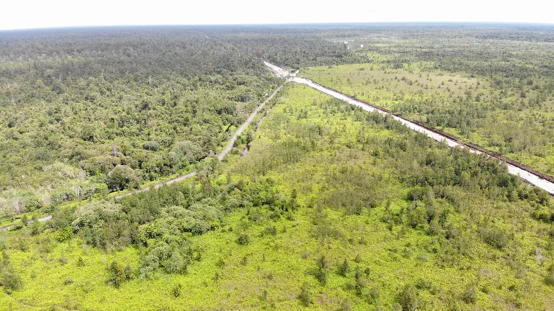 Tanah Gambut Luas 11,75 Hektare Dijual di Buntok, Kalimantan Tengah 2