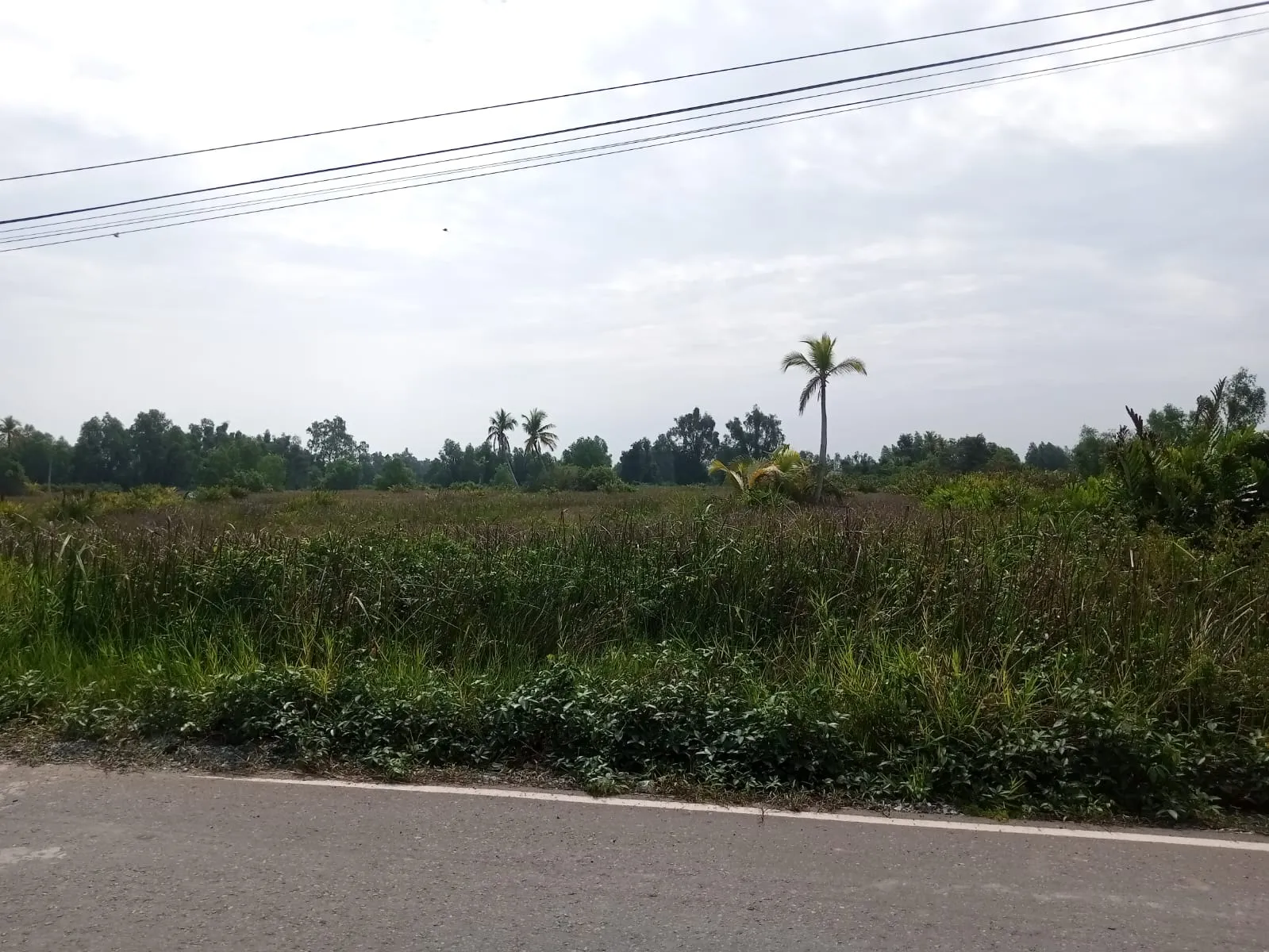 Land Area 9,103 m² for Sale Near Jl. Gubernur Soebardjo