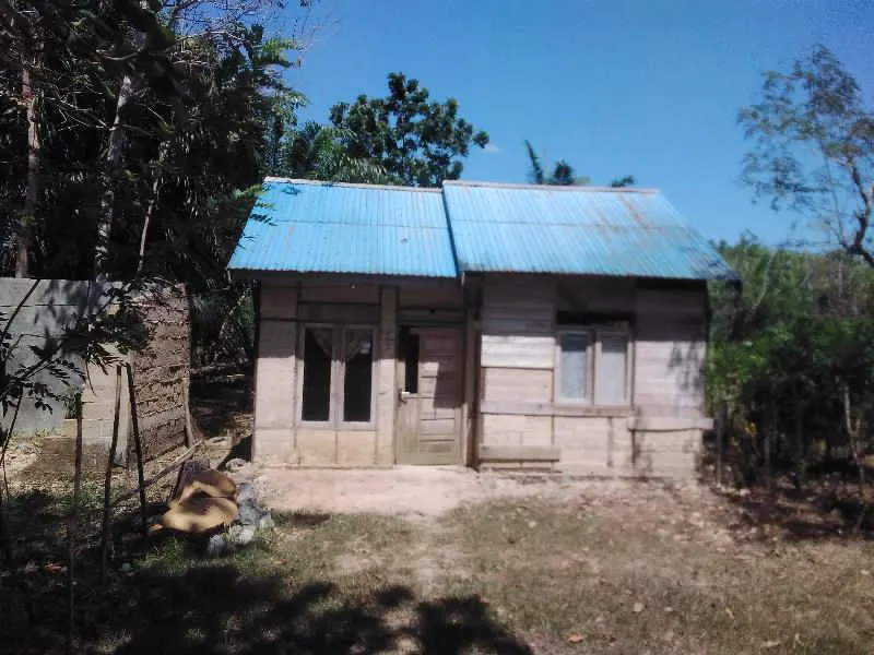 Land for Sale, 1,050 m² with Oil Palms at Sungai Riam, Pelaihari