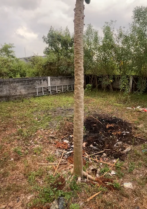 Rumah Dijual Tipe 40 di Citra Mitra City, Banjarbaru 5