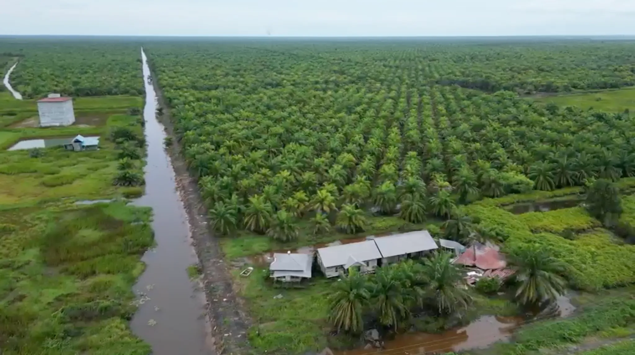 Tanah Kebun Sawit Dijual 604 Hektar di Tapin 4