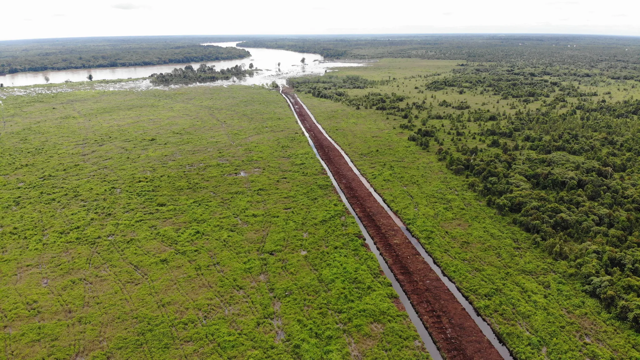 Tanah Gambut Luas 11,75 Hektare Dijual di Buntok, Kalimantan Tengah