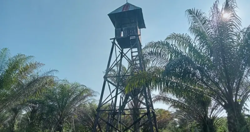 Kebun Sawit Luas ±6.800 Ha Dijual di Landak, Kalimantan Barat 8