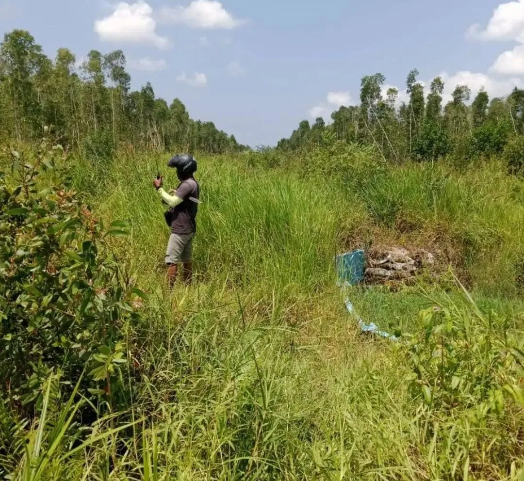 中加里曼丹 Katingan 矿质土地出售，面积 1,000 公顷 4