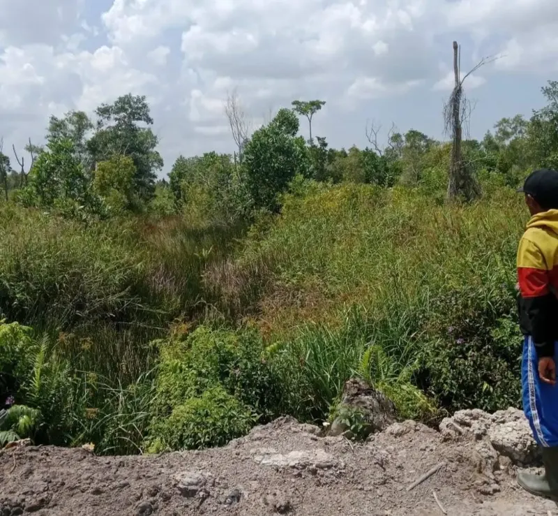 Mineral Land, Land Area 1,000 Ha, for Sale in Katingan, Central Kalimantan 3